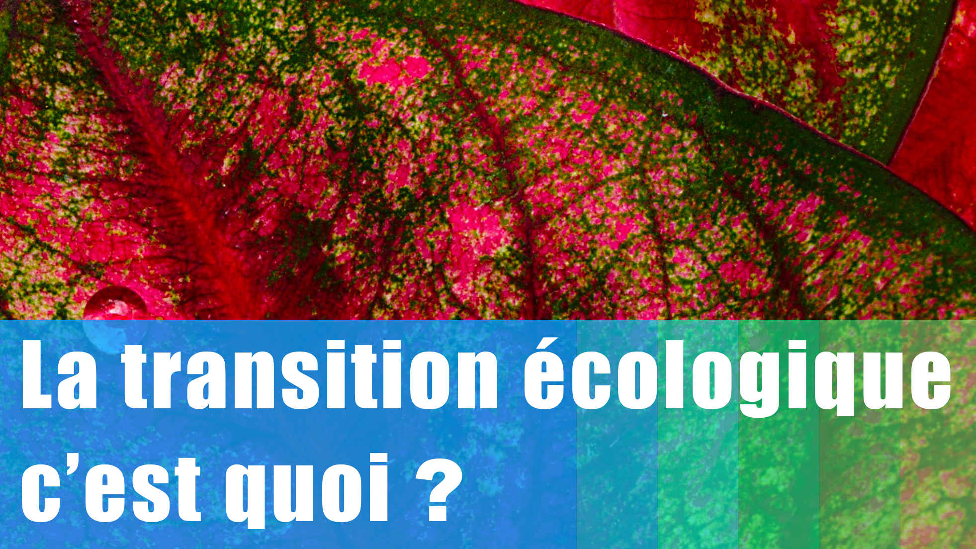 La transition écologique, c’est quoi ?